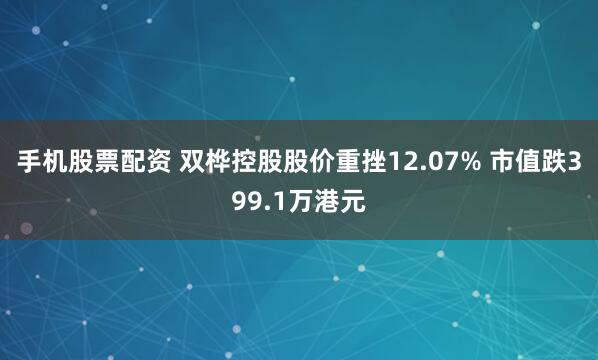 手机股票配资 双桦控股股价重挫12.07% 市值跌399.1万港元