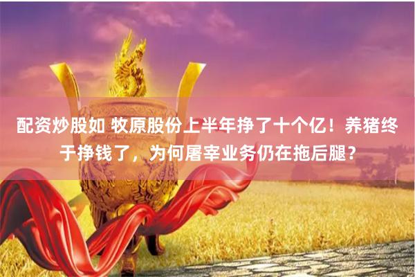 配资炒股如 牧原股份上半年挣了十个亿！养猪终于挣钱了，为何屠宰业务仍在拖后腿？