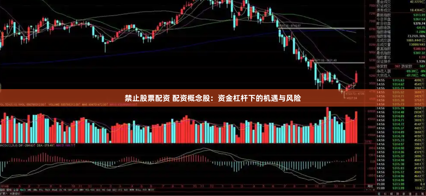 禁止股票配资 配资概念股：资金杠杆下的机遇与风险