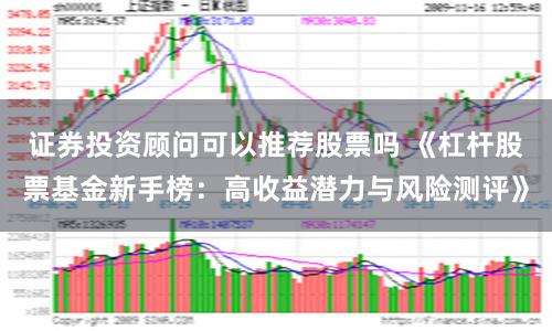 证券投资顾问可以推荐股票吗 《杠杆股票基金新手榜：高收益潜力与风险测评》
