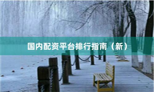 国内配资平台排行指南（新）
